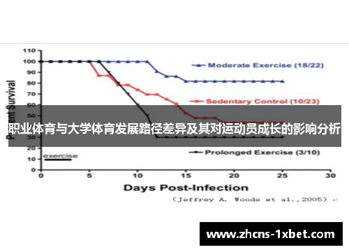 职业体育与大学体育发展路径差异及其对运动员成长的影响分析