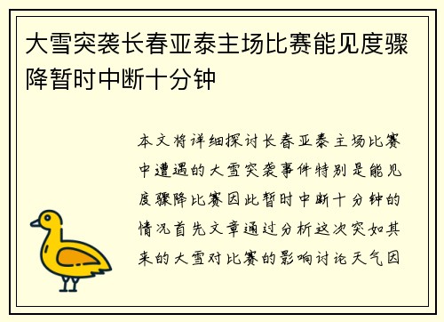 大雪突袭长春亚泰主场比赛能见度骤降暂时中断十分钟
