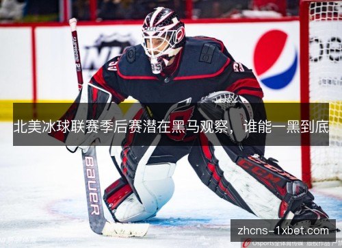 北美冰球联赛季后赛潜在黑马观察，谁能一黑到底